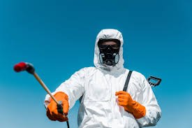 Best Termite Inspection and Treatment  in USA